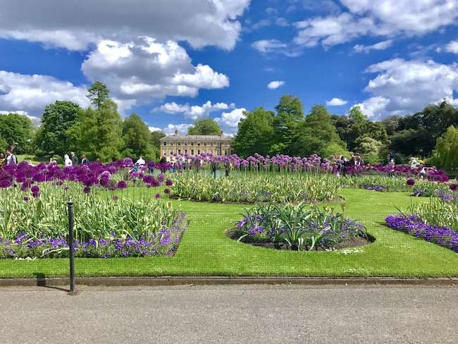 Fiori e prati nel parco di Kew Gardens