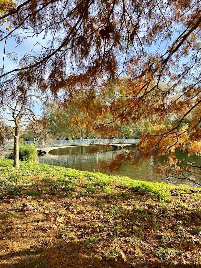 Giardini curati a St James’s Park London