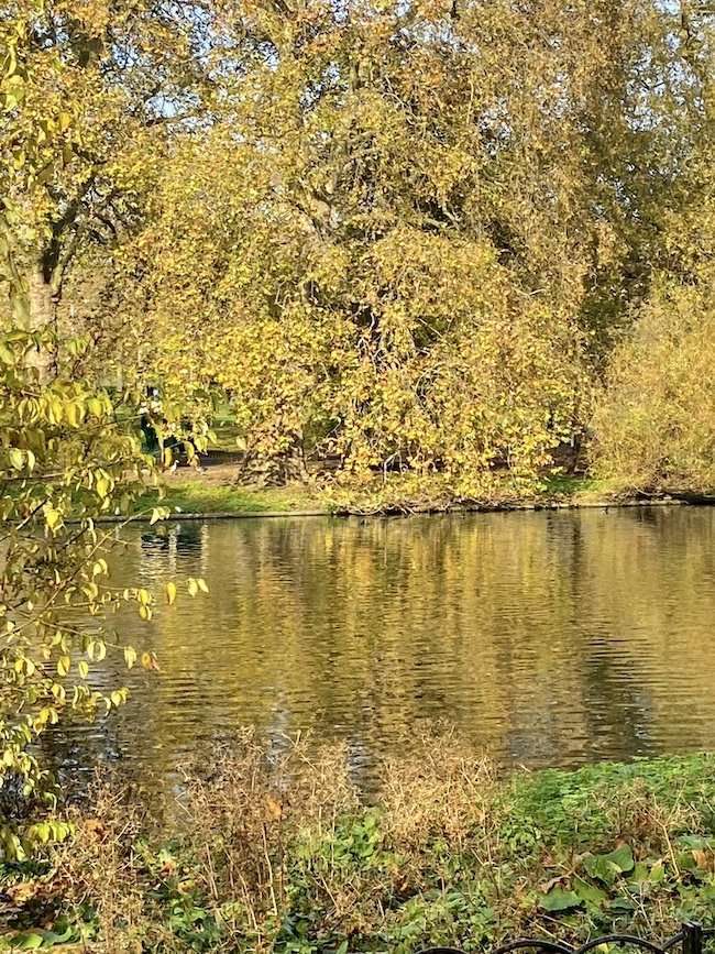 Giardini curati a St James’s Park London