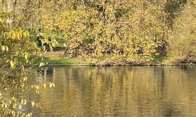 6 Parchi di Londra Romantici che non devi perdere