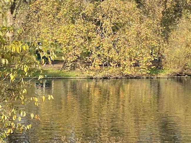 6 Parchi di Londra Romantici che non devi perdere