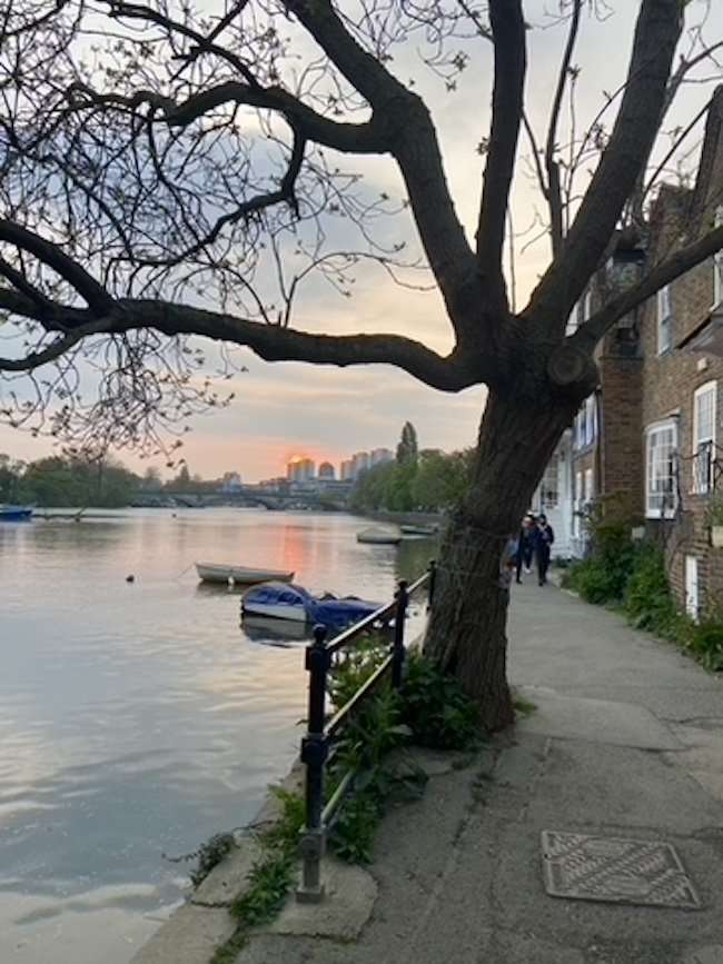 Picturesque view of the River Thames at Chiswick Mall, featuring historic Georgian riverside residences and moored boats.
