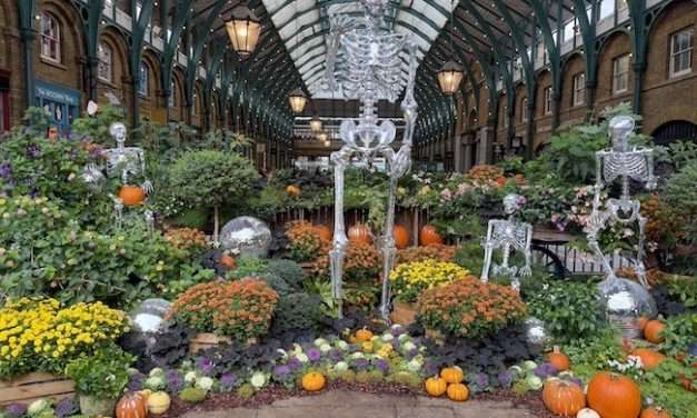 Dove trovare le decorazioni di Halloween a Londra: itinerario e consigli